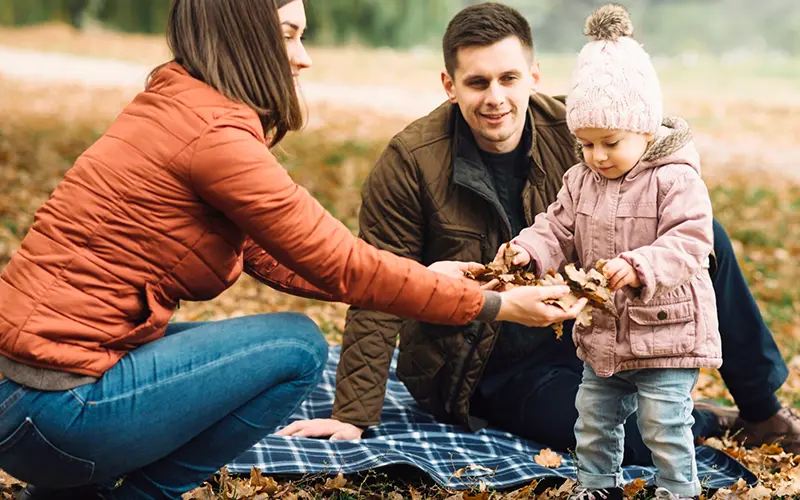child_support_02 Licata Law Family Child Support Law